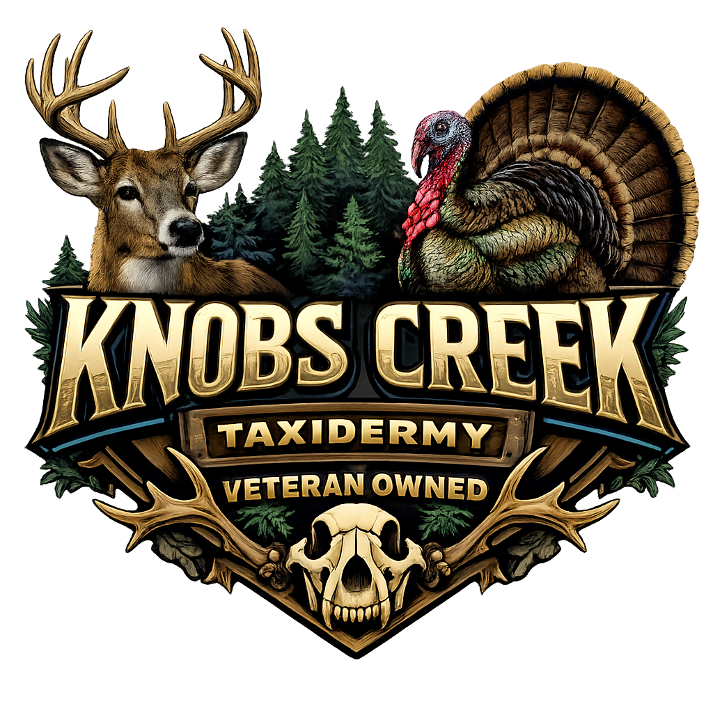 Kids original logo T-shirt